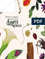 Plantas y Saberes Plaza Samper Mendoza Pliegos