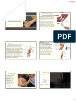 The Elbow & Forearm Complex: Radial Nerve