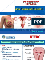 Apto Rep Femenino II