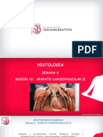 Histología Sistema Cardiovascular