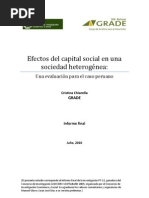 Download Efectos Capital Social by CIES Consorcio de Investigacin Econimica y Social SN53380705 doc pdf