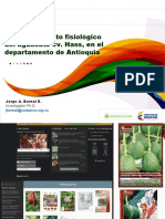 Presentacion Comportamiento Del Aguacate en El Dpto - DR Jorge Bernal