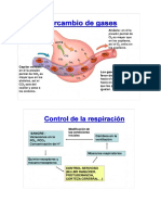 Complemento respiratorio