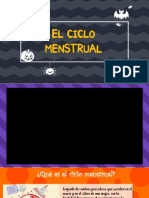 Ciclo Menstrual