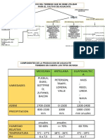 Planeacion de La Produccion Del Cultivo de Aguacate