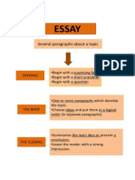 Essay: Several Paragraphs About A Topic