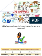 Animales Invertebrados