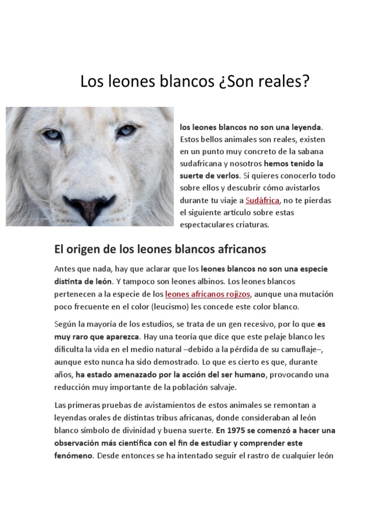 Texto Expositivo | PDF | León