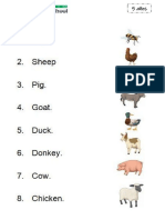 Farm Animals