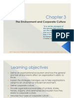 Chapter 3 The Environment and Corporate Culture Compressed