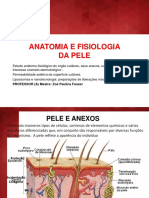 Anatomia e Fisiologia Da Pele 2020.2 Completo
