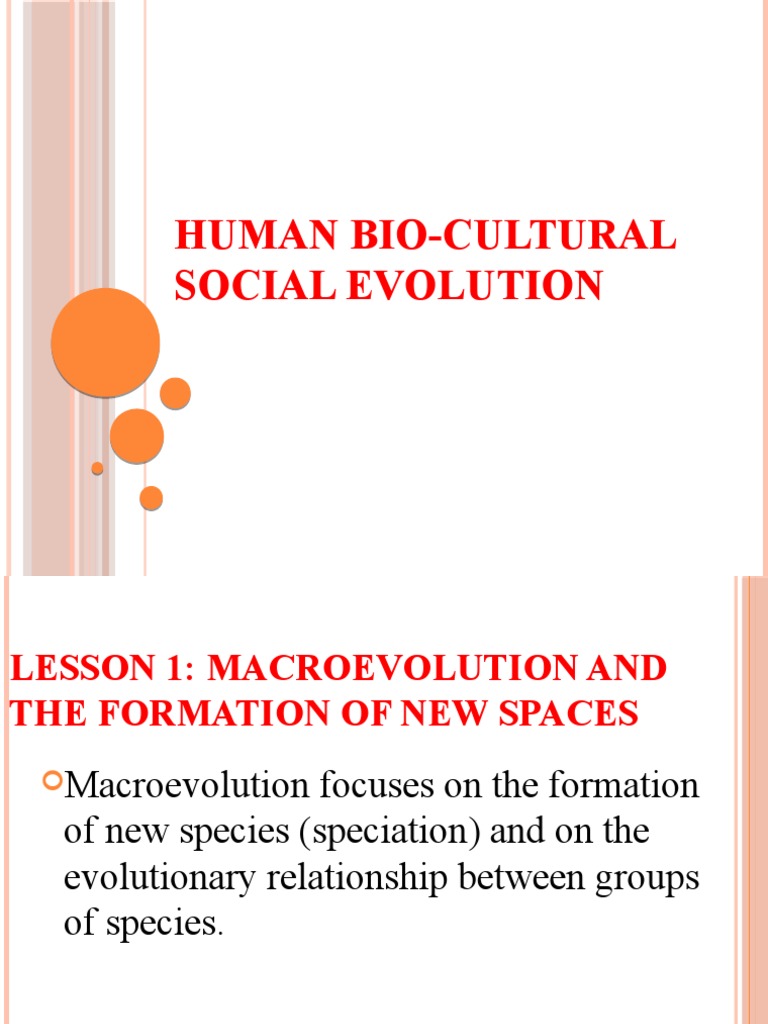 Human Bio-Cultural Evolution Overview | PDF | Evolution | Ape