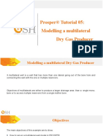 Prosper® Tutorial 05: Modelling A Multilateral Dry Gas Producer