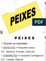 Peixes: Respiração, Esqueleto e Espécies