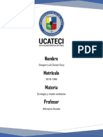 Jornada de Siembra