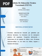 Sistema Endocrino