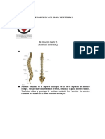 Lesiones de Columna