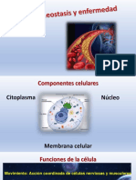 Clase 1. Introducción A La Fisiopatología