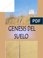 Genesis Del Suelo