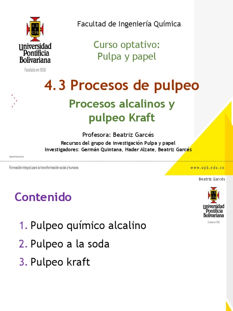 Pulping Processes: Kraft and Sulfite Methods | PDF | Pulp (Paper ...