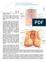 SOI III - Mód. 7 - ED 2 - Sistema Reprodutor Feminino