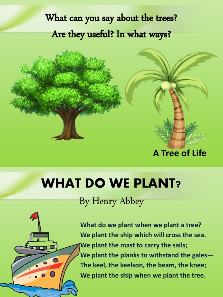 What Can You Say About The Trees? Are They Useful? in What Ways? PDF