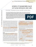 In Vitro Differentiation of Transplantable Neural Precursors From Human Embryonic Stem Cells