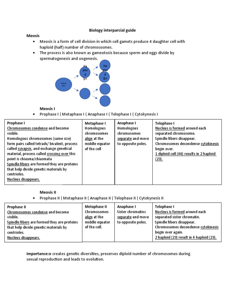 Meiosis: Gamete Formation Overview | PDF | Meiosis | Cell Cycle