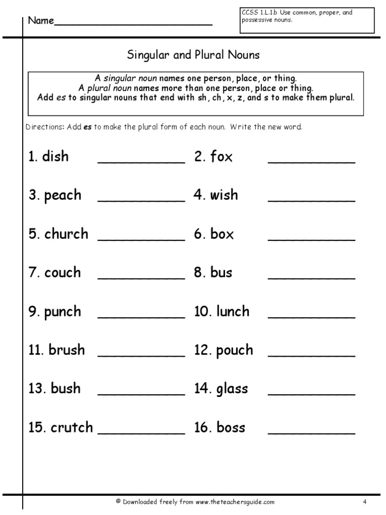 Singular and Plural Nouns Worksheet | PDF
