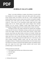 Download Robekan jalan lahir by pelgass SN53389151 doc pdf