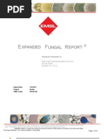 Download Mold Remediation Report Sample - ECCE Services ny by Barry Ecce Serv SN53389542 doc pdf