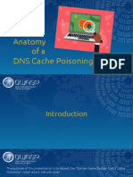 Anatomy of a DNS Cache Poisoning Attack