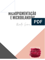 Micros Apostila Nova