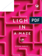 Citra Novy - Light in A Maze