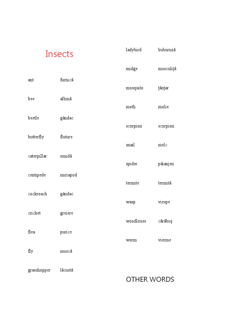 INSECTS | PDF