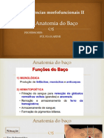 Anatomia do baço