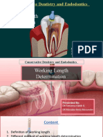 Working Length by DR Tamanna