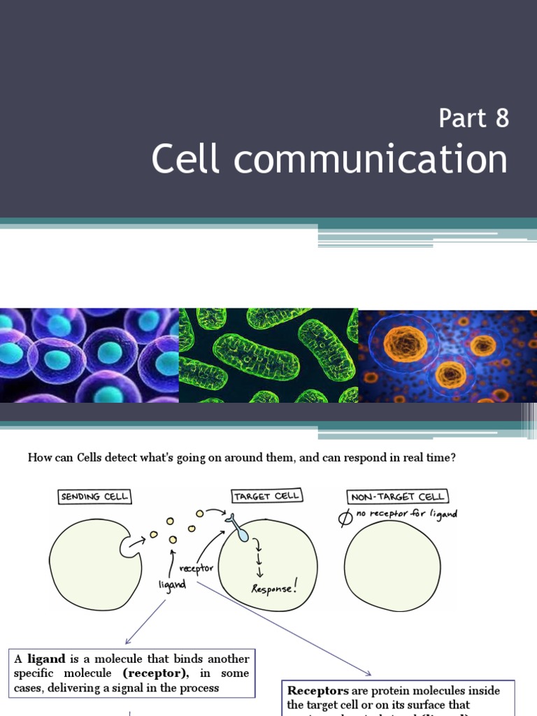 Cell Communication and Signal Transduction | PDF | Signal Transduction ...