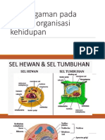 Organisasi Dalam Sistem Kehidupan