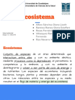 Eco Sistema