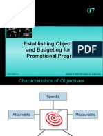 Establishing Objectives and Budgeting For The Promotional Program