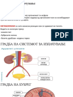 9.Систем за излачување