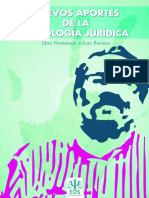 Nuevos Aportes A La Psicología Jurídica - Libro Homenaje A Juan Romero - Javier Urra Portillo