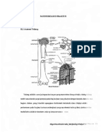PDF Patofisiologi Fraktur Compress