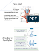 Anatomy of thyroid gland THT TUTOR 3