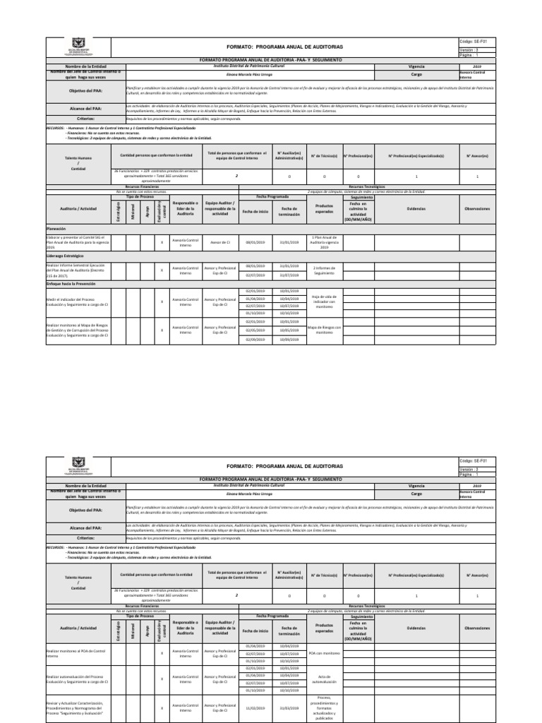 Plan Anual de Auditoría 2019 - Control Interno | PDF | Auditoría ...