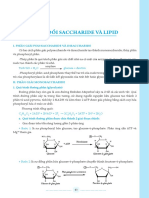 N Trao Đ I Saccharid & Lipid