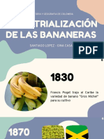 Indutrialización de Las Bananeras