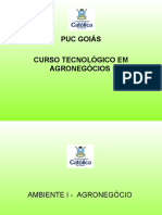 vdocuments.net_aula-13-agronegocio-brasileiro