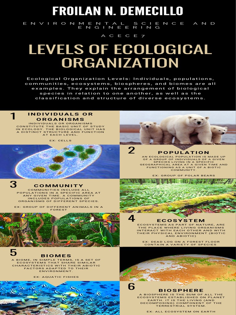 Levels of Ecological Organization PDF Ecology Environmental